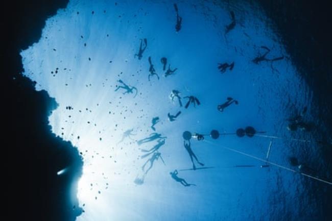 A dozen or so divers on the surface and fish near a rock face are seen from about 30 metres below the surface as a diver pulls themselves down a rope 
